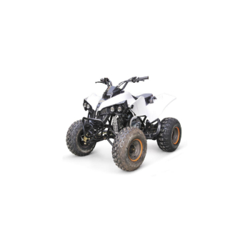 Автоматический квадроцикл 250 куб. См 4x4 4x2 Quad резервный велосипед