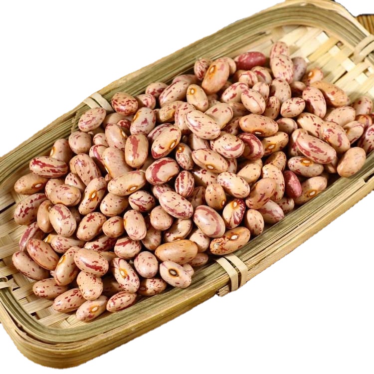 Widely Used Superior Quality Kidney Pinto Beans Light Speckled Pinto Kidney Bean