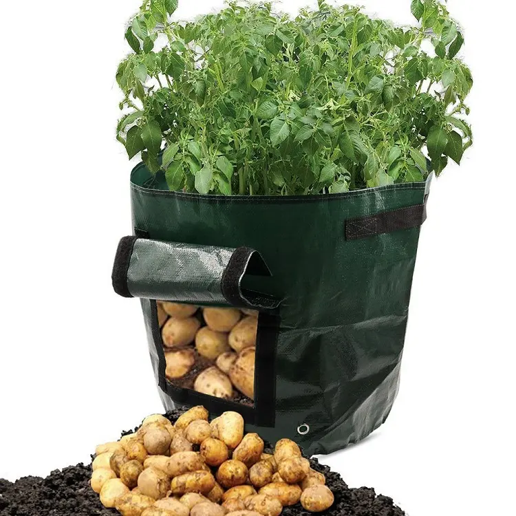 2018 New Plant Grow Bag DIY Potato Grow Planter PE Cloth Tomato Planting Container Bag Thicken Garden Pot Garden Supplies