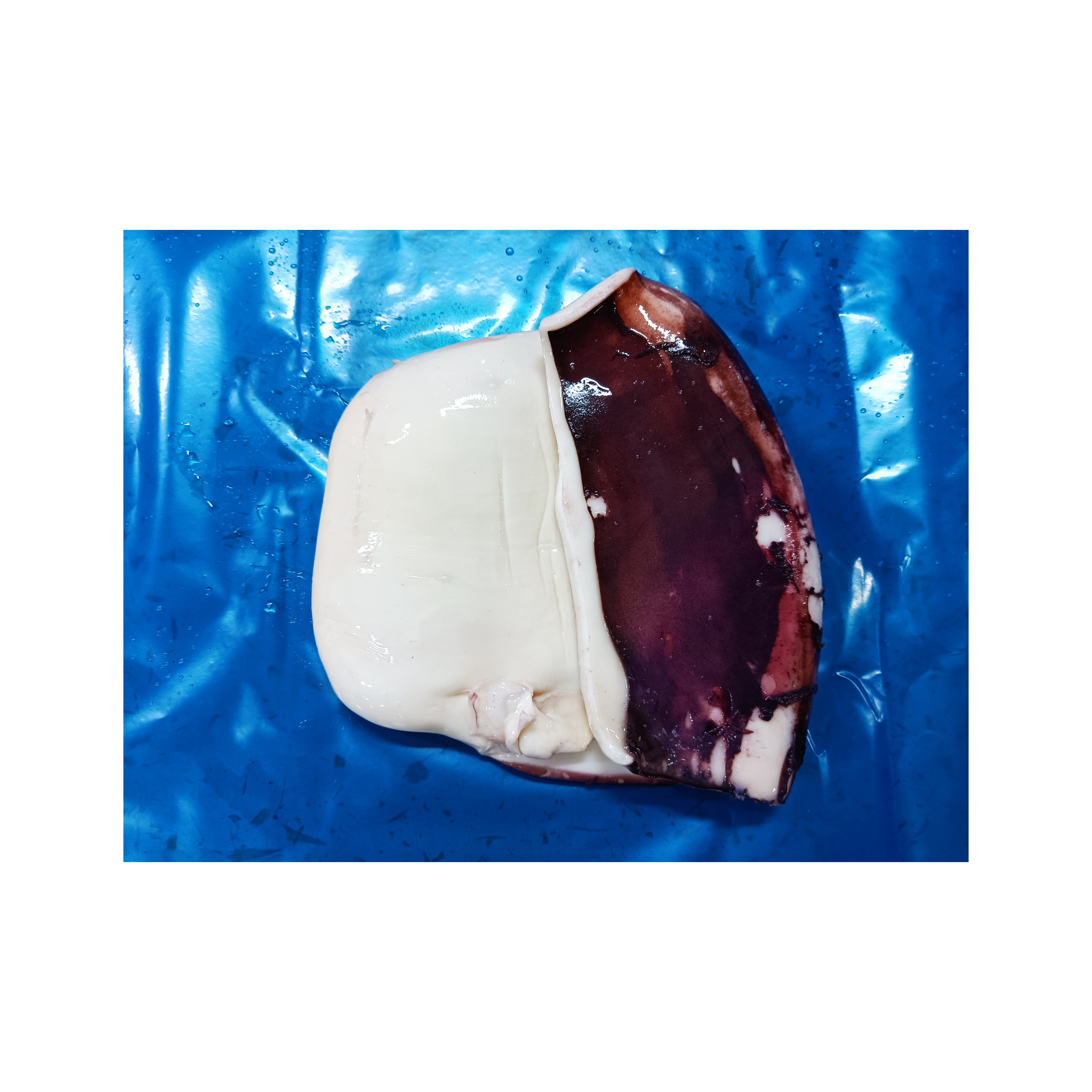 Замороженное кипяченое индийское филе кальмара, морепродукты, замороженное Приготовленное мясо кальмара, STHENOTEUTHIS OUALANIENSIS