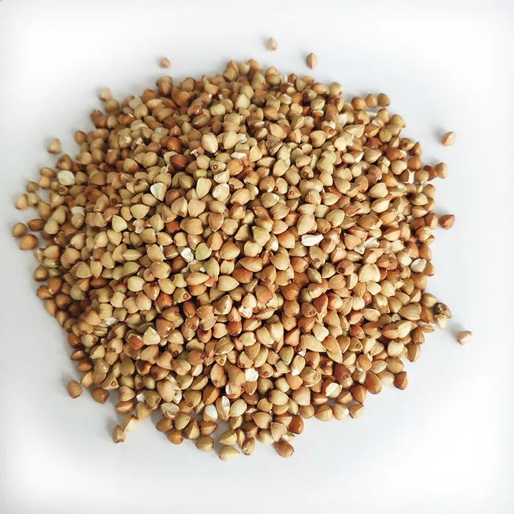 Hot sale natural buckwheat with export low price buckwheat