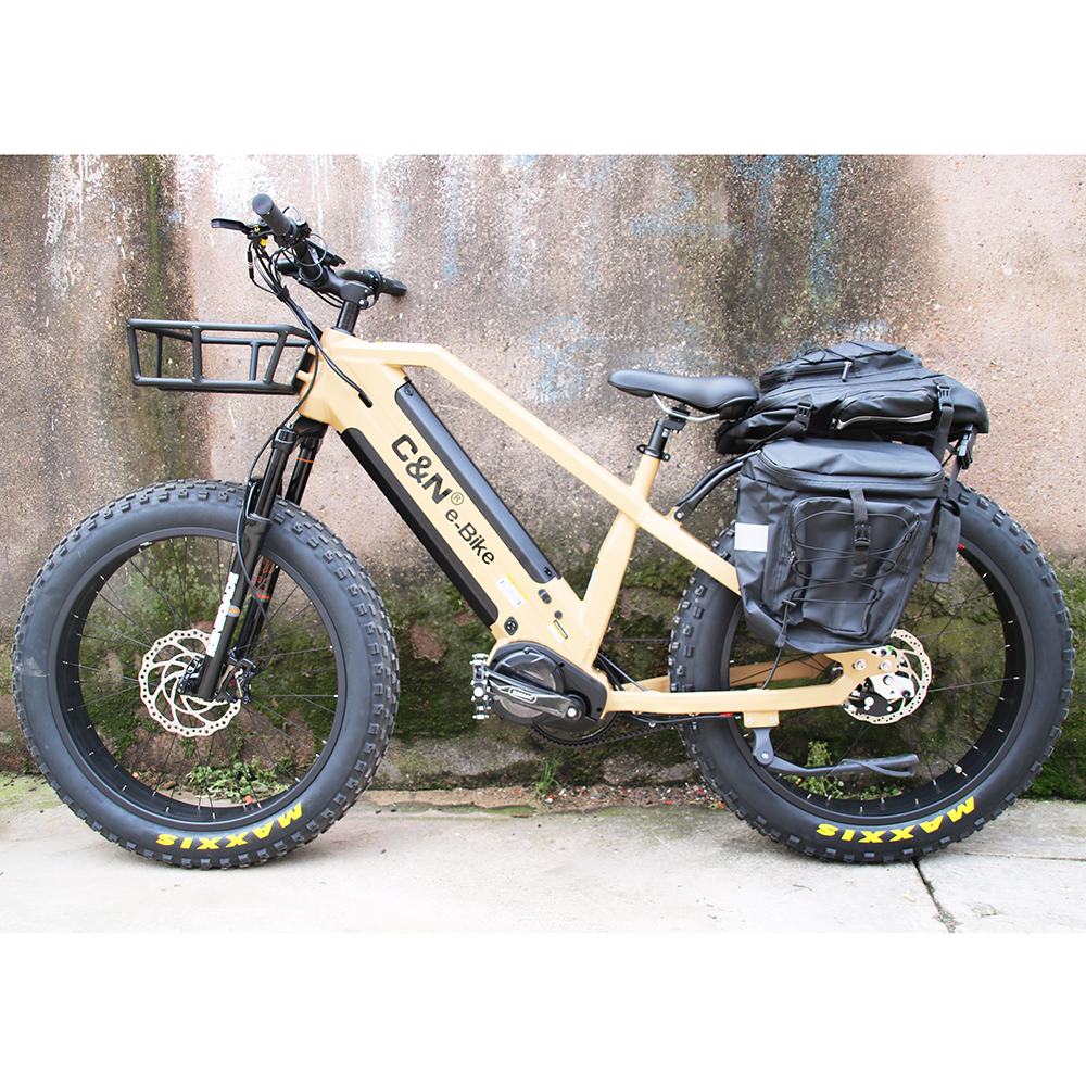 Электрический велосипед Rohloff, 48 В, 1000 Вт, 14 скоростей