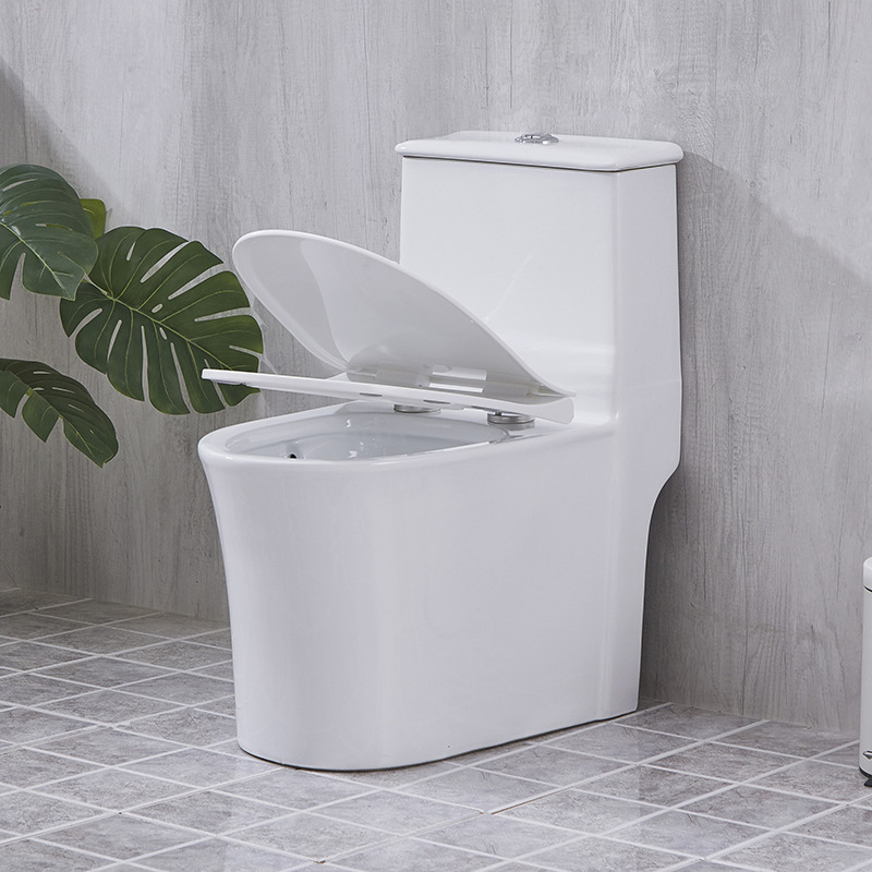 Modern wc Dual Flush siphonic One Piece ceramic Toilet floor mounted White water closet