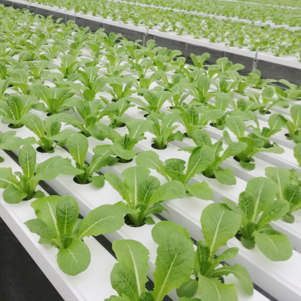 GRO-DRO 100*50mm agricultural food grade pvc square pipe hydroponic nft channel