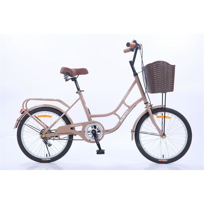 Wholesale bicycle 2021 new design/ 20 inch cheap steel frame single speed women girl lady city bike bicycle for sale