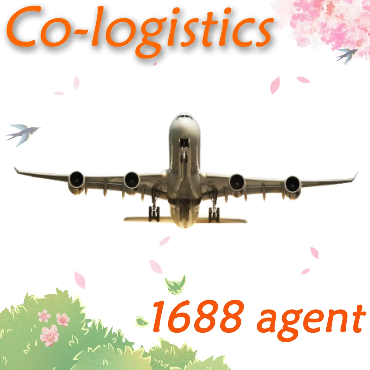 Professional Drop Shipping Air Freight Forwarder From Shenzhen China to Germany with Warehouse Service  DDP