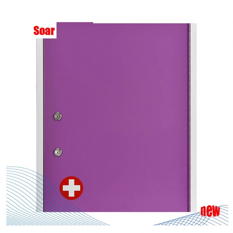 Wall Mounted Metal Matte Glass Medicine Inox Hanging Family Abs Furniture Record Filing Endoscope Medical Drying Cabinet