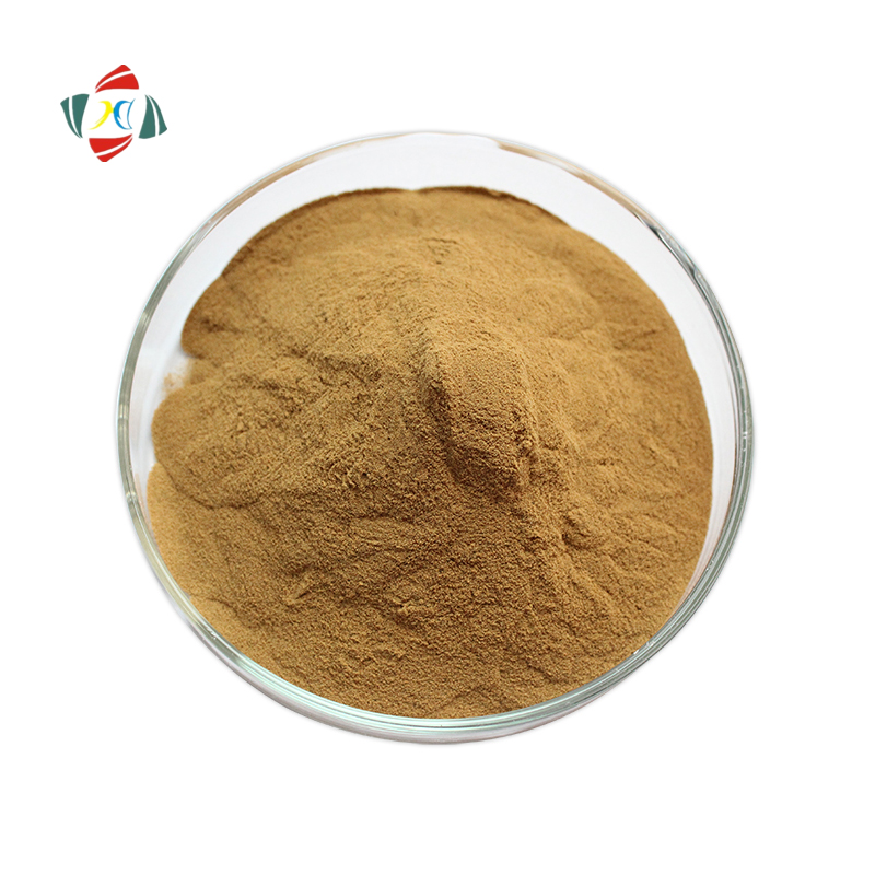 Wuhan HHD Isatis Indigotica Fort Extract Radix Isatidis Root Extract Isatis Tinctoria