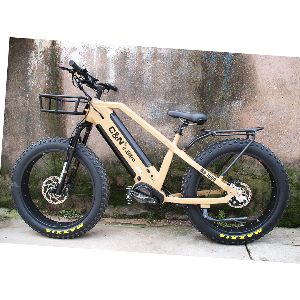 Велосипед ROHLOFF SPEEDHUB bafang, ультра-рама для электровелосипеда, 48 В, 1000 Вт, двойной ременной привод, батареи bafang, ультра Средний приводной двигатель, электрический велосипед