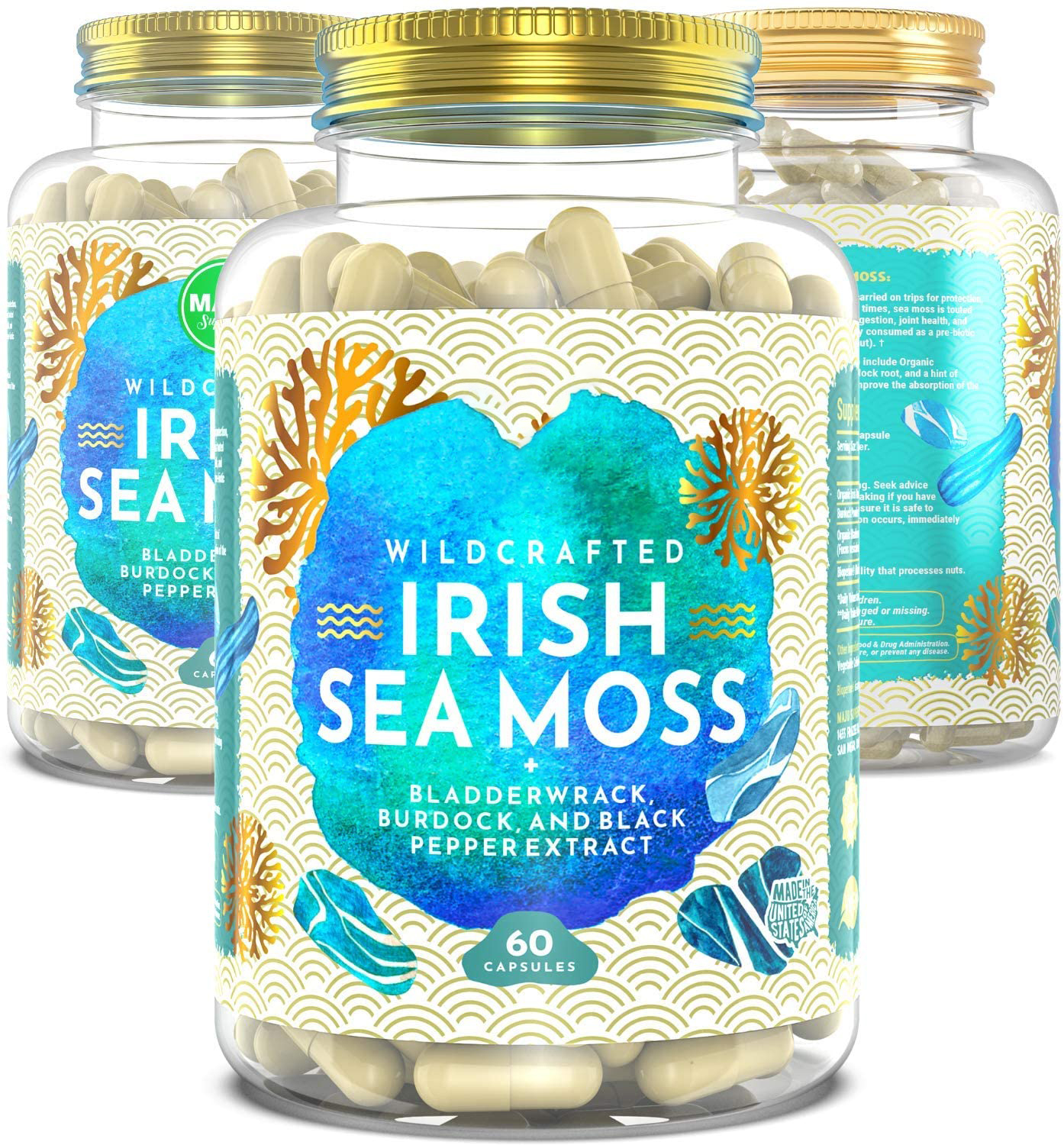 Private Label Slimming Multivitamin Vegan L-carnit Organic Irish Sea Moss Capsules For Fat Burner Pills Weight Loss