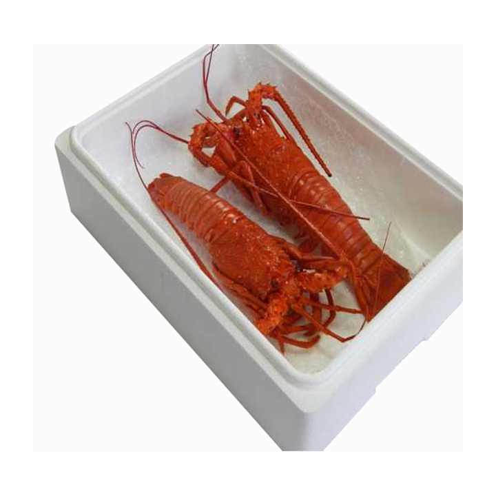 Japaneae mie prefecture steamed whole frozen sand lobster hama