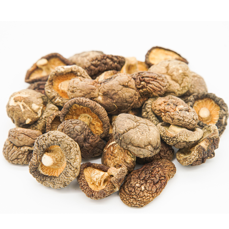 Мешок для выращивания крупными партиями сушеных грибов Shiitake на экспорт