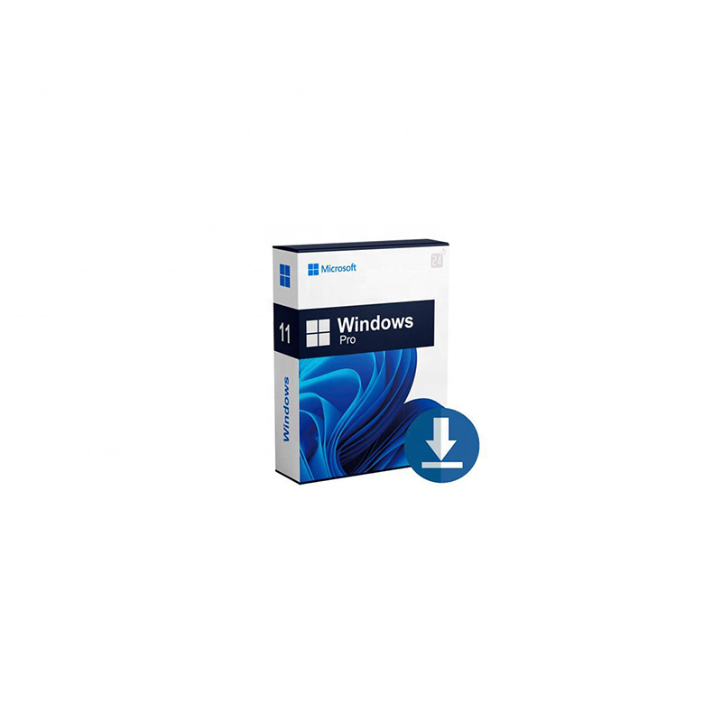 MS windows 11 pro key 5PC готовый в наличии электронная почта доставка Win 11 Pro 5PC windows 11 Лицензия 5PC OEM COA