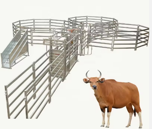 Animal Husbandry Portable or Permanent Equipment For Cattle Yard