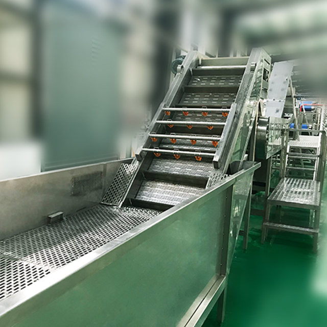 High quality Roller type fruit washing machines