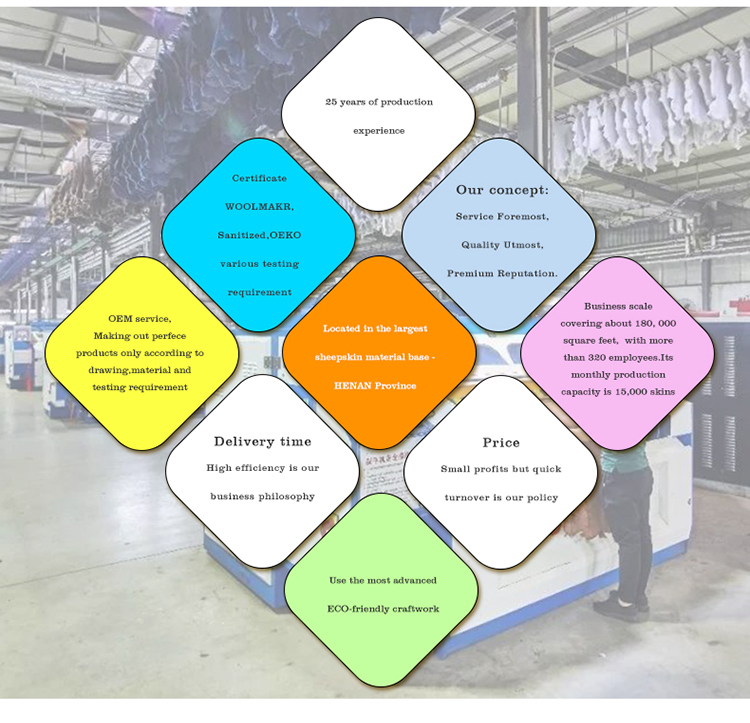 Wholesale Fashion Genuine Waterproof Australian Sheepskin Snow Slipper Boots Women's Leather Ankle Boots Fall Boot