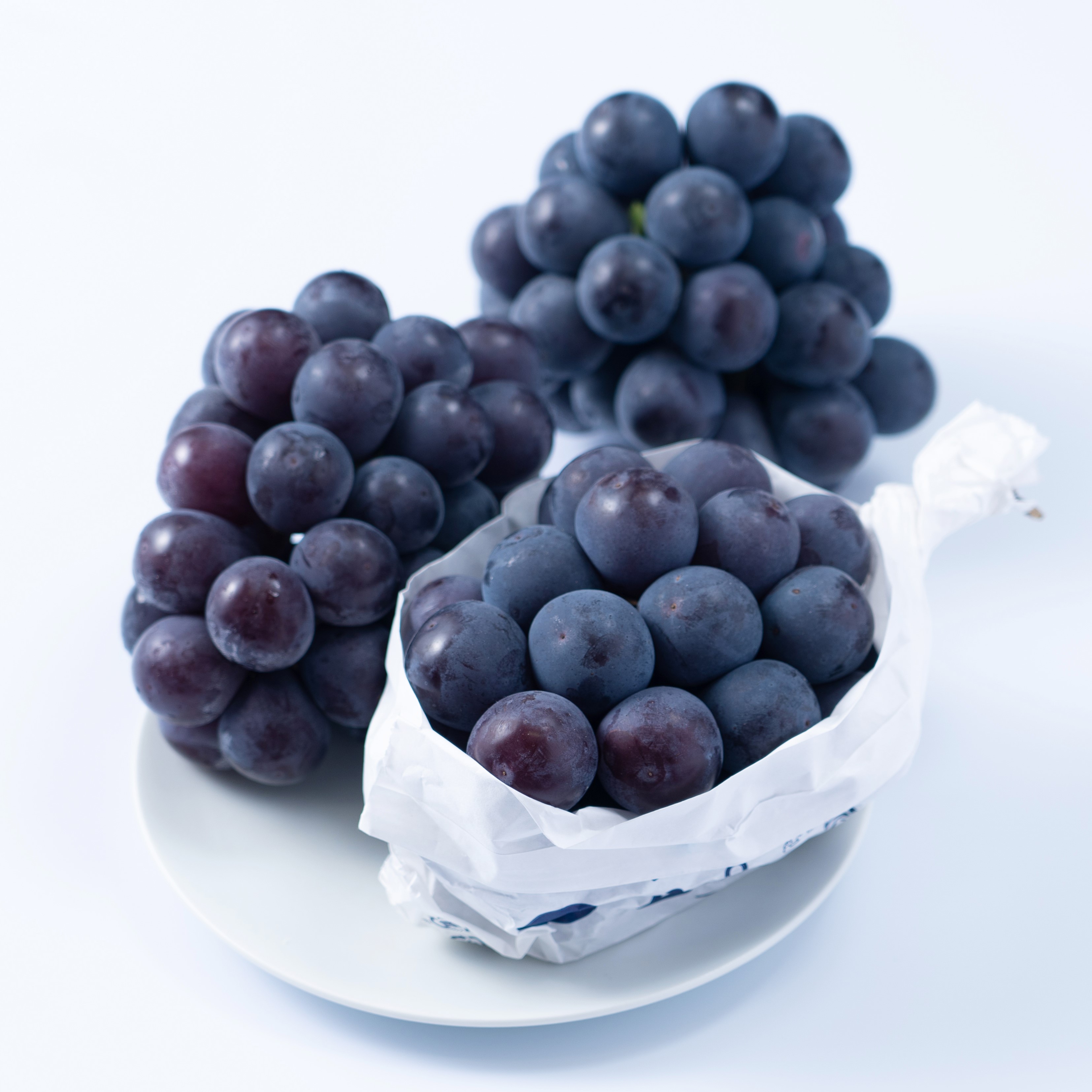 Оптовая продажа, выращивание по разумной цене, сбор виноградного вкуса