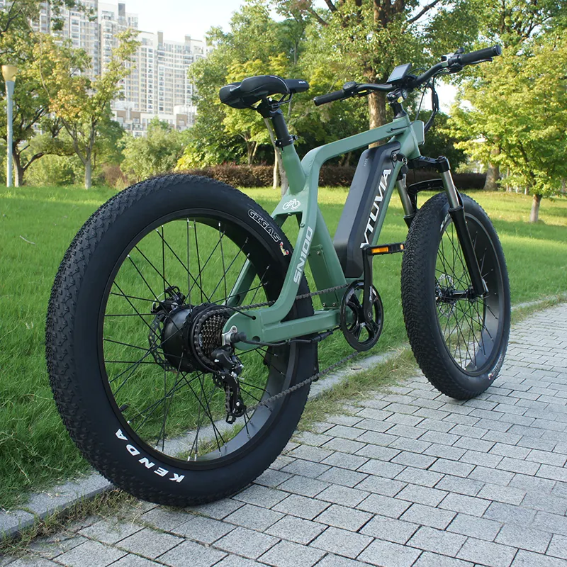 VTUVIA/V-SN100 1500w Electric Cargo Fat Tire Ebike Mountain Bike Bicycle Green