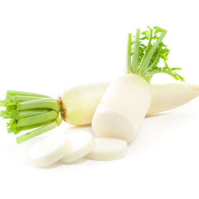 High quality fresh vegetables, refreshing and nutritious white radish export quality