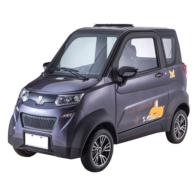 Лидер продаж от производителя электрических автомобилей для взрослых и небольших электромобилей в 2021 году