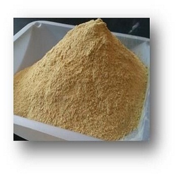 High Quality euglena Powder