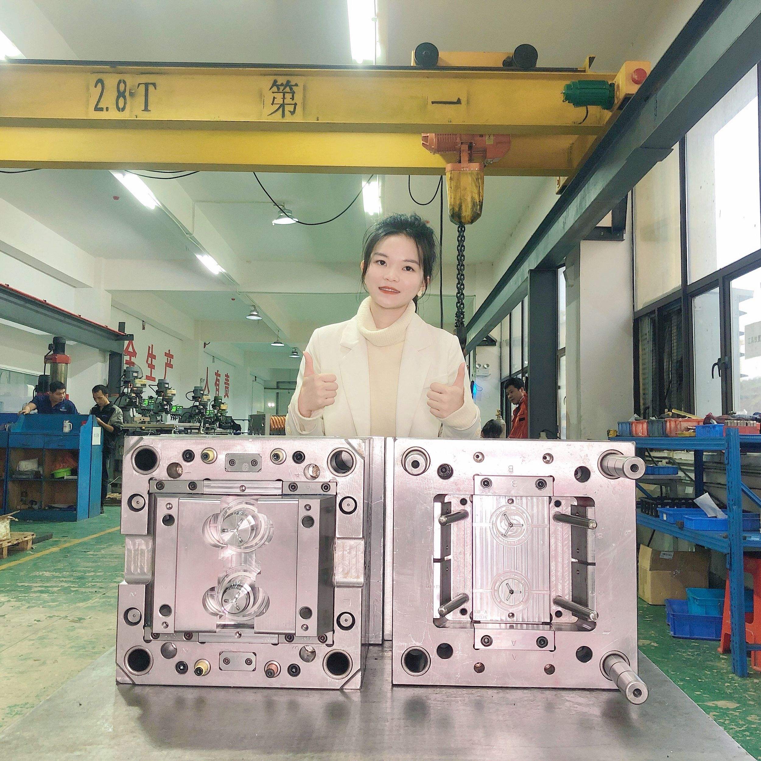 ABS/PP Connector One-stop Service Plastic Manufacturer High Precision moulds Inject Supplier Molding Die Casting Mold