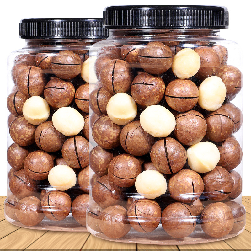 Wholesale sale of organic China Australia 500g nut salt roasted healthy macadamia nut dried with shell
