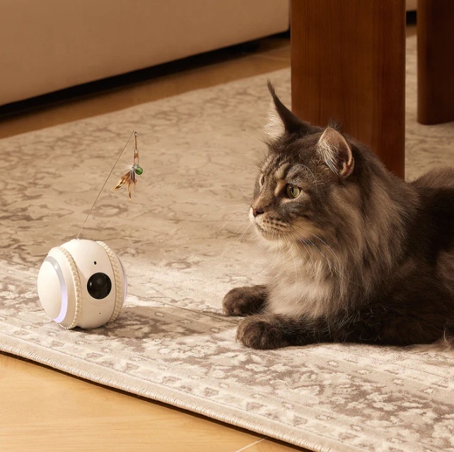 App Control Smart Companion Robot For Pets Full HD 1080P Video Interactive Cat Dog Toy