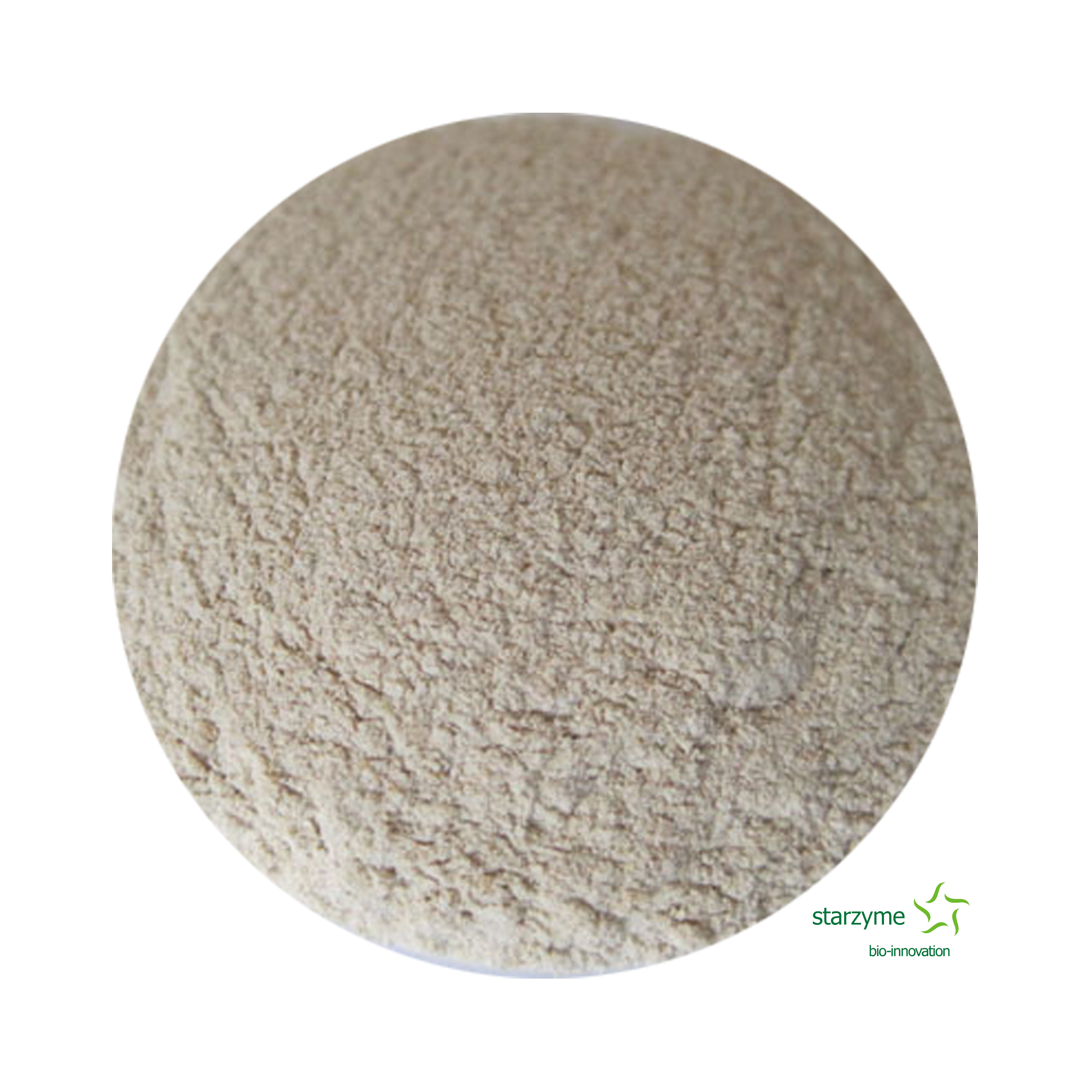 High Concentratoin High Temperature Resistant Phytase Enzyme Powder Factory
