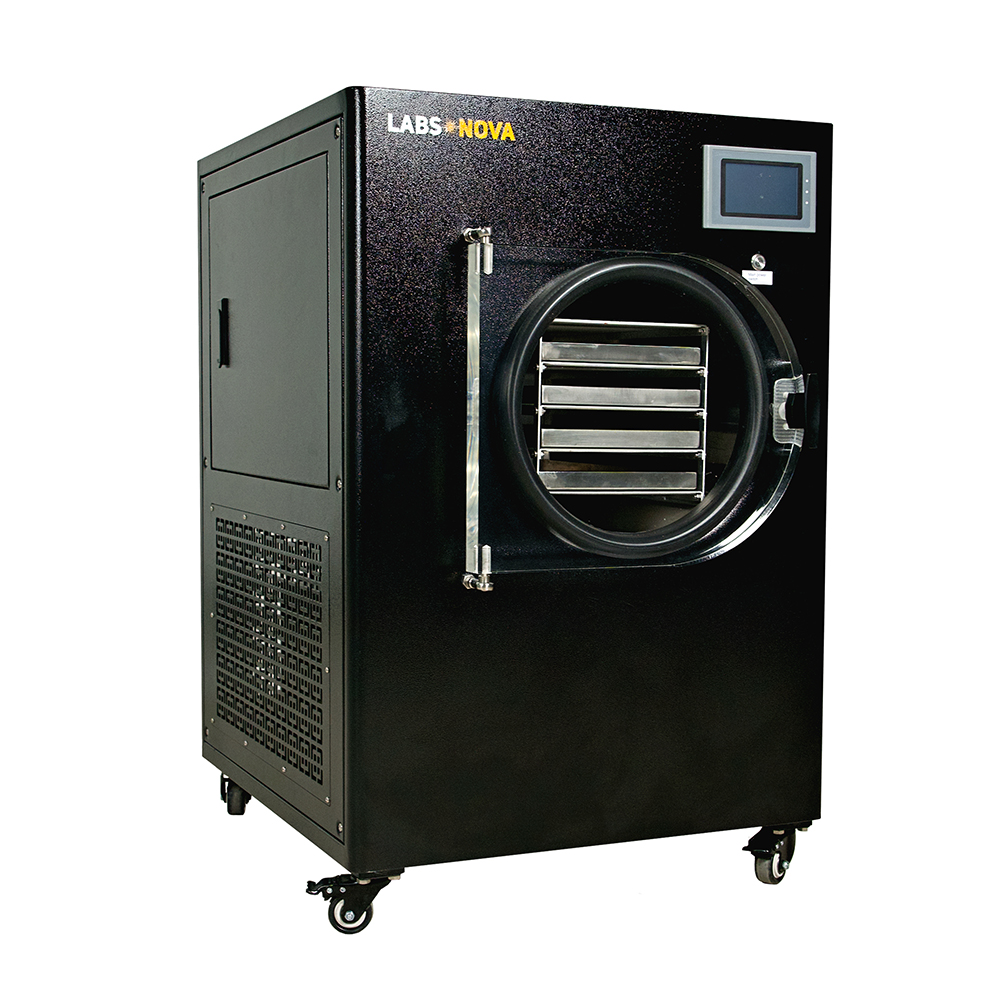 Household lyophilizer with elegant design and appropriate price