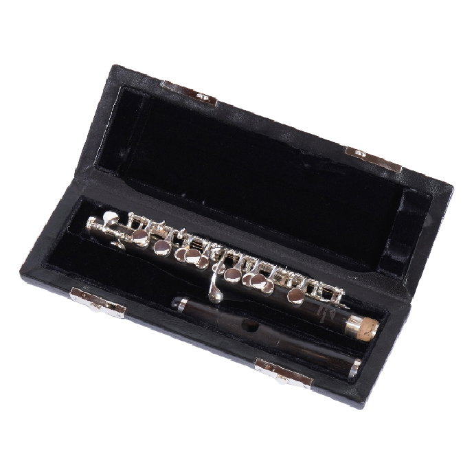 Professional reasonable price online set musical instruments for adults