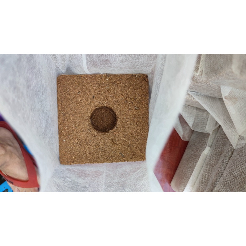 Good Package Hot Sale Coconut Bricks Coco Peat Blocks From China