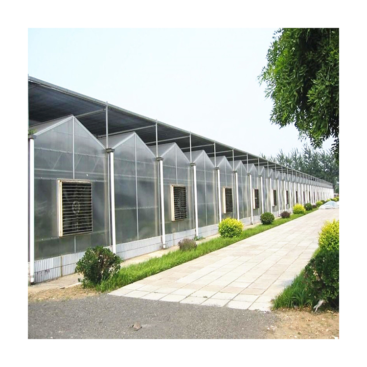 Galvanized Steel Technology Production Multi Span Polycarbonate Agriculture Green House Greenhouses