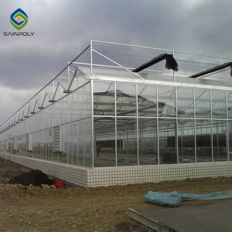 Sainpoly the cheapest agricultural multi-span glass garden greenhouse serra agricola for sale