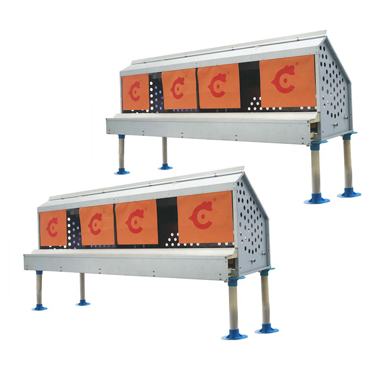 feeder cup chicken big chicken feeder chiken feeder chicken