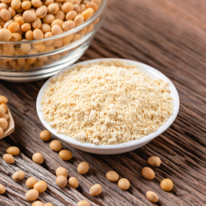 Non GMO Defatted toasted soybean flour/ BIOPRO 10-Soy Flour