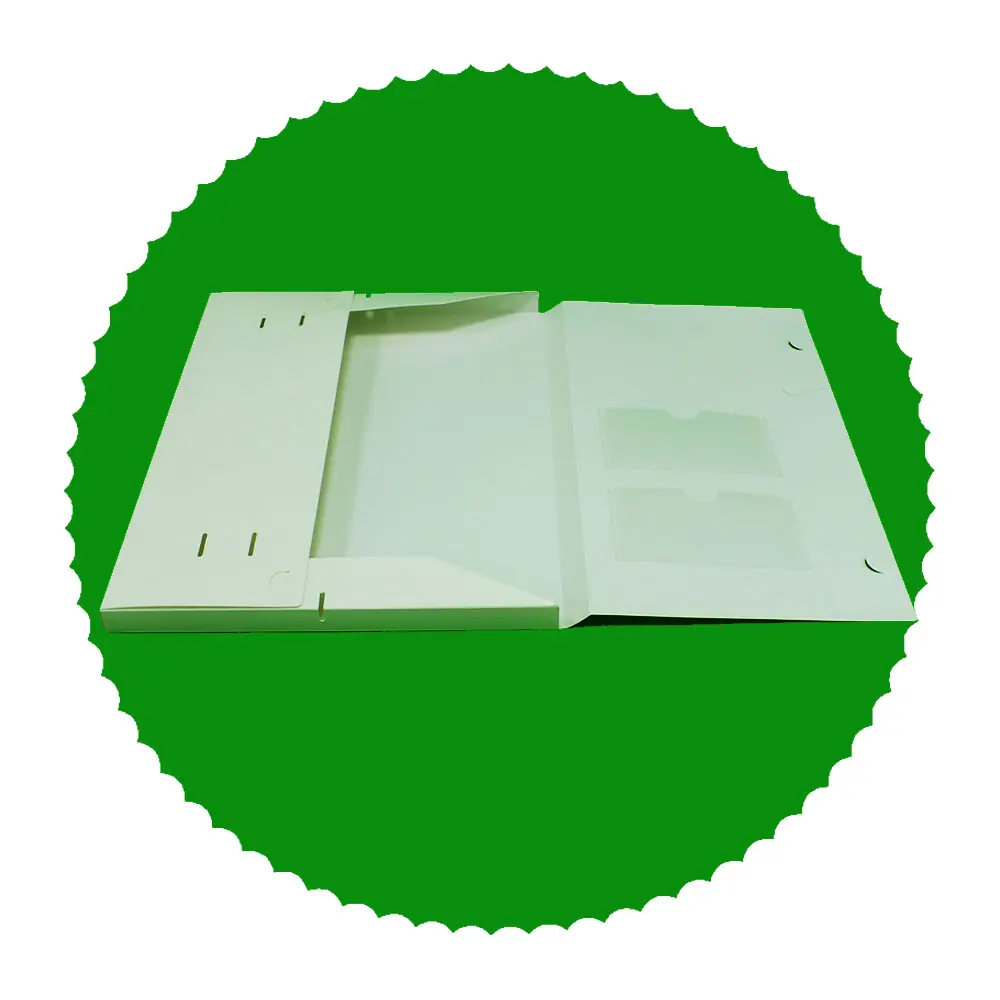Plastic Folder Custom Adjustable Clear Frosted Pp Plastic Office File Folder