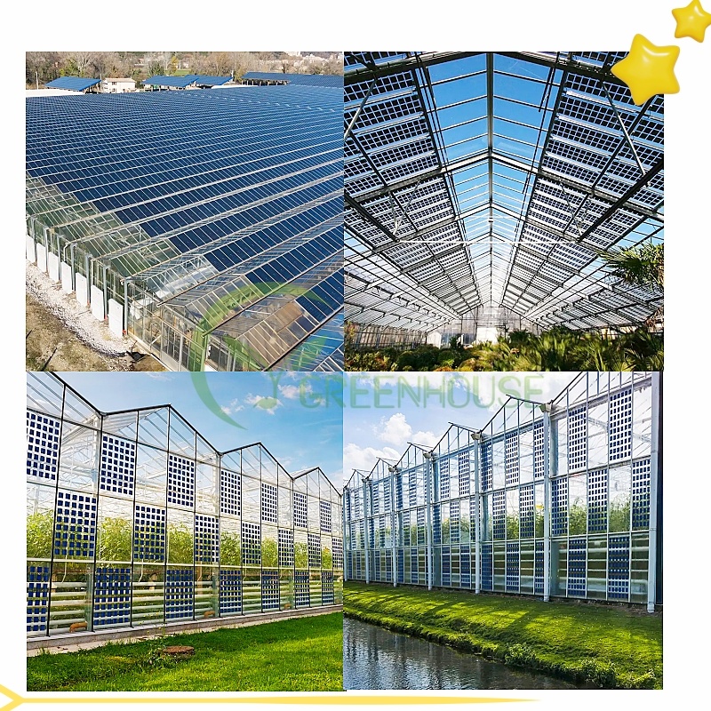 Cost Effective Smart Agricultural Multi-Span Venlo Agriculture Transparent Solar Panels Commercial Structural Solar Greenhouse