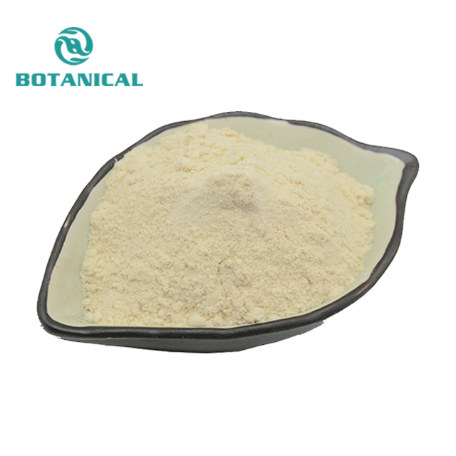 Wholesale Bulk 100% Natural Almond Powder Organic Almond Flour