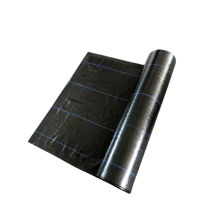 Hot sell eco weed mat pp weed control fabric weed barrier weifang