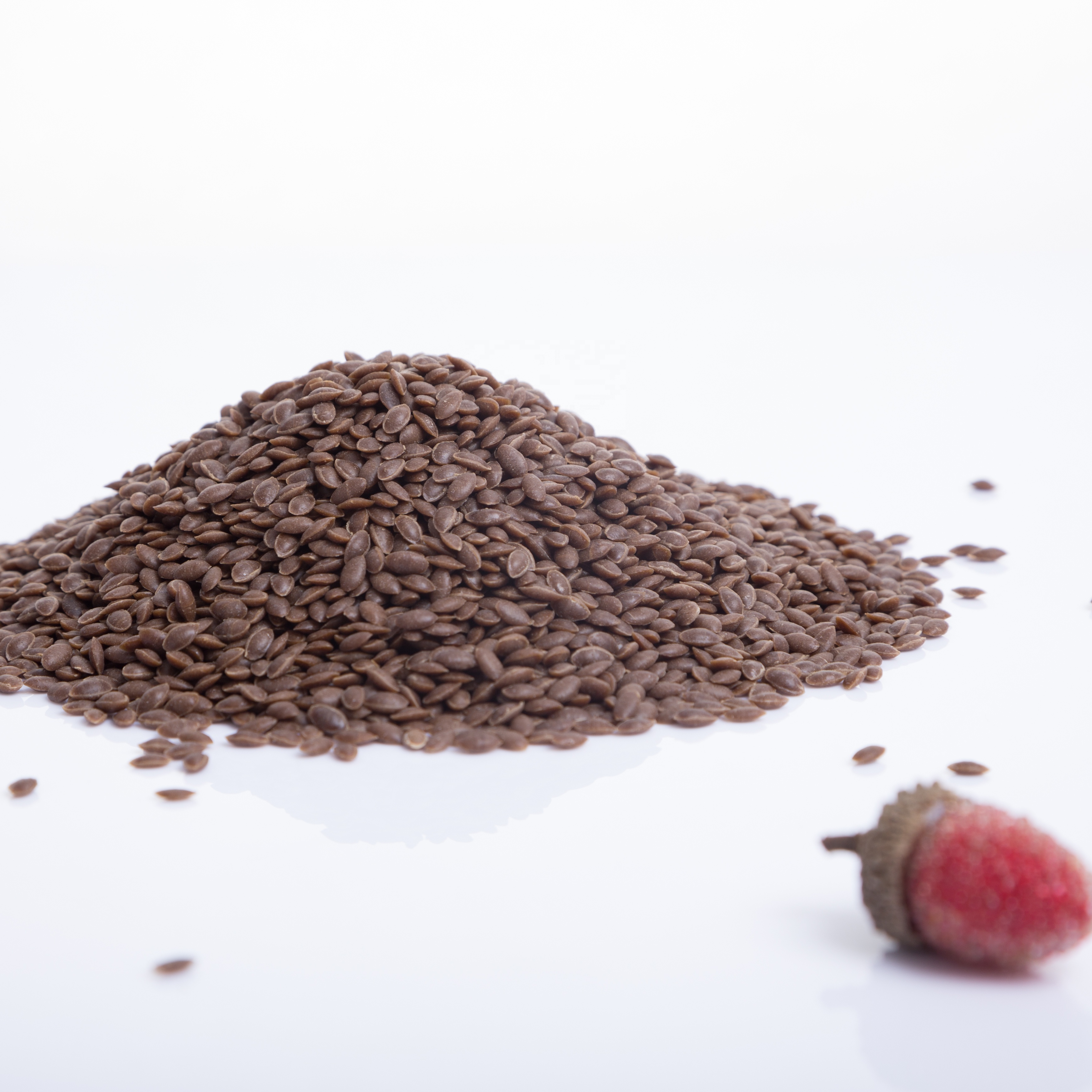 Wholesale Brown Rice made of 50% Acorn Starch and 50% Rice Flour