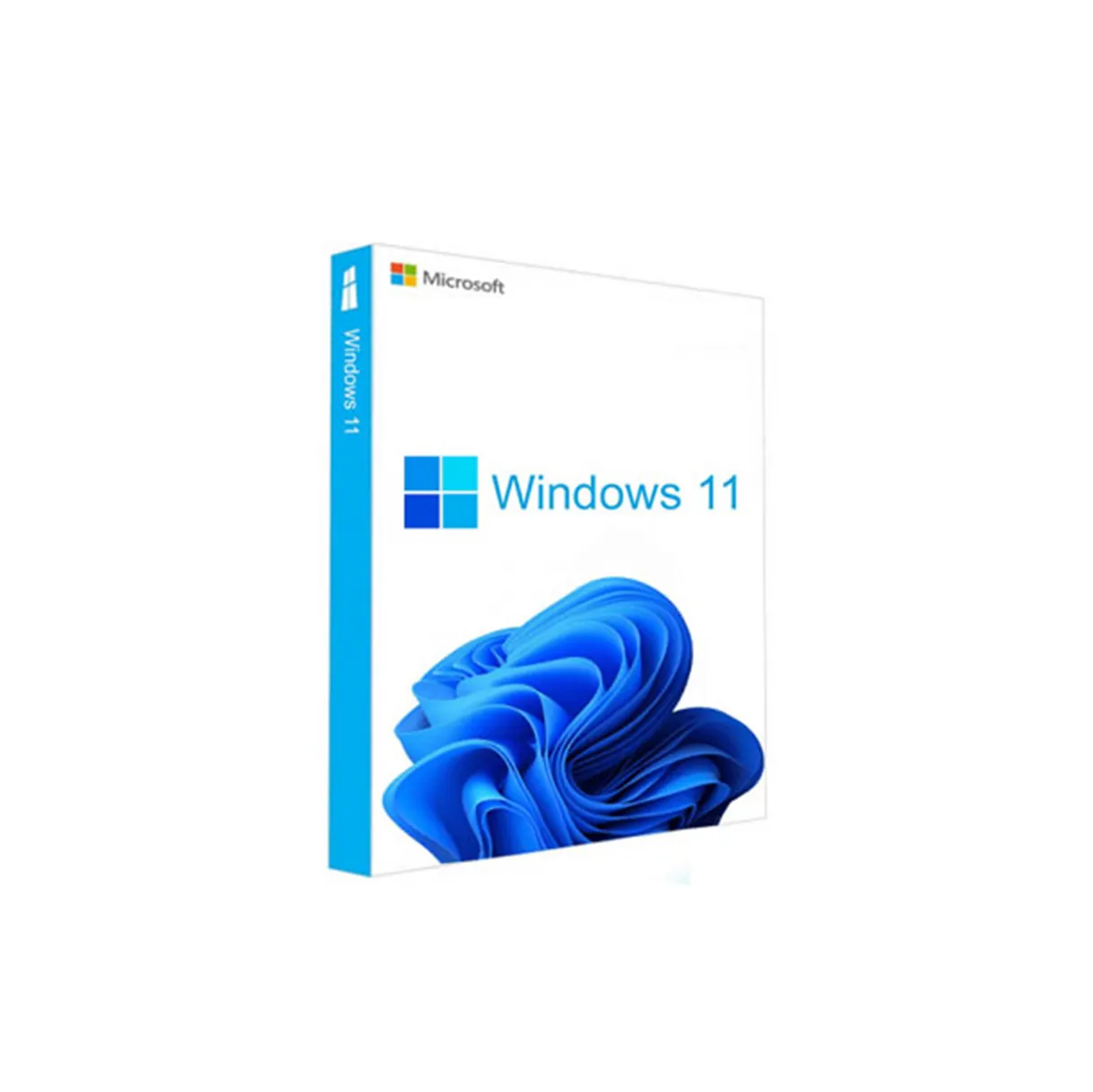 Microsoft Windows 11 Pro Retail Digital Key Code Win 11 Professional Key Email Delivery
