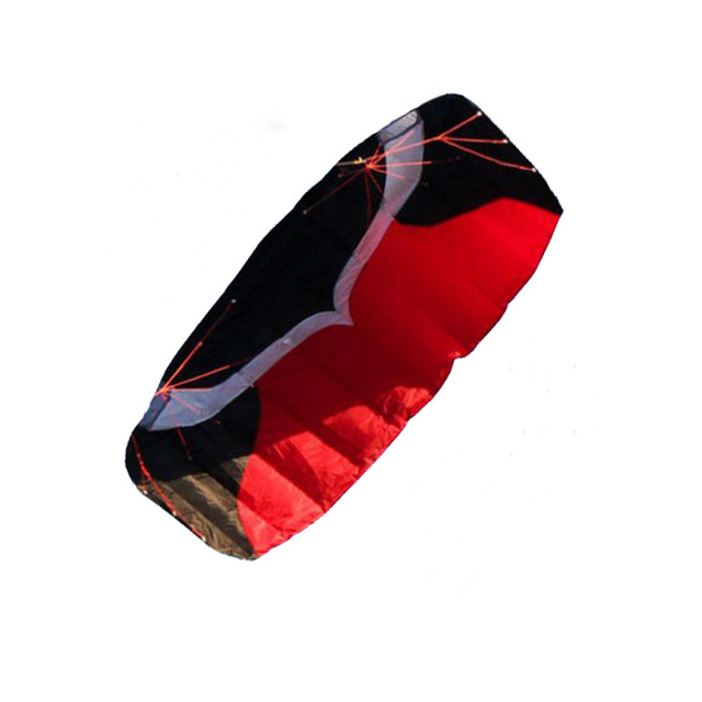 Two-line soft high quality nylon power kite with flying line