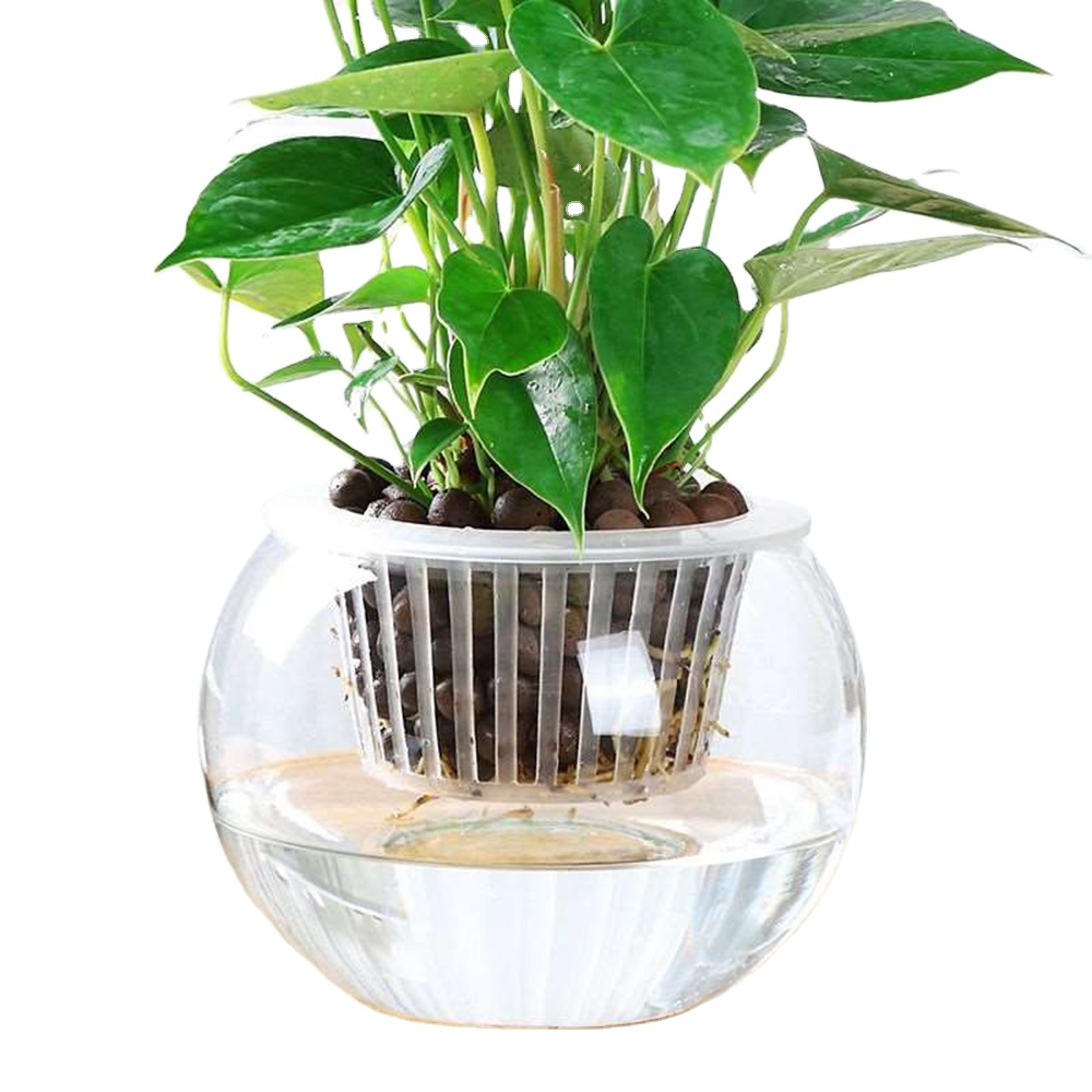 Hydroponic colonization Mesh Pot Net Cup Basket Hydroponic Aeroponic Planting Grow Clone Nursery Plant Soilless