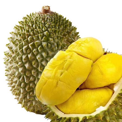 Durian Fresh Fruit