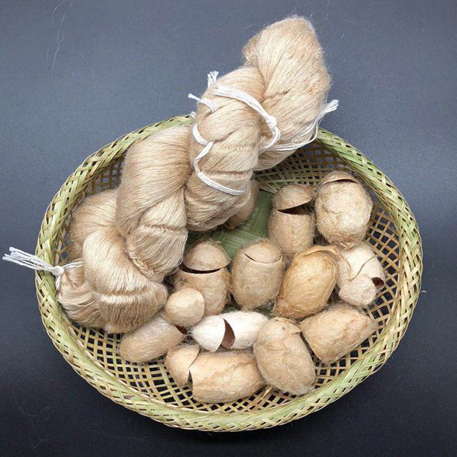 Модная шелковая пряжа tussah, цена для оптовиков, Высококачественная шелковая пряжа tussah для продажи