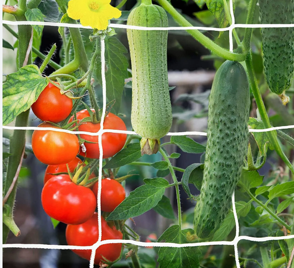 Trellis Netting Heavy Duty plant support netting Plastic Plant Trellis Net for Climbing Plants fruit