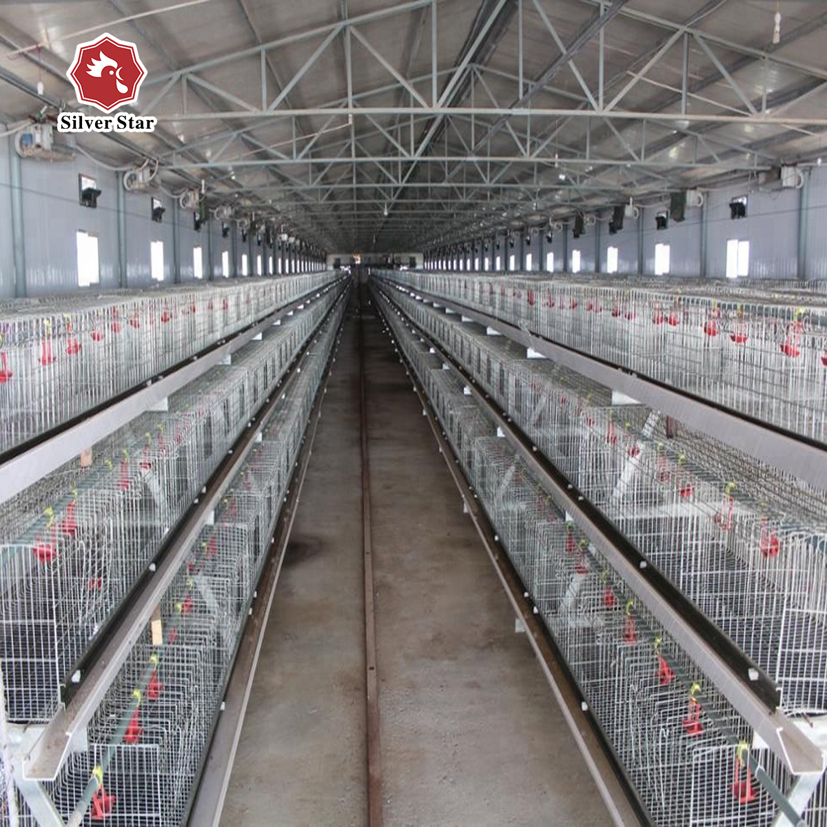 Cheap chicken coop a type broiler cage