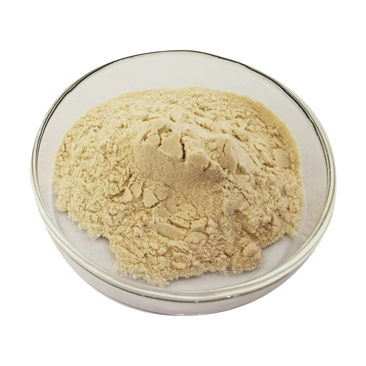 Здоровая Органическая пища Tongkat Ali порошок экстракта корня пищи AdditiveMushroom экстракт порошка с полисахаридами maca