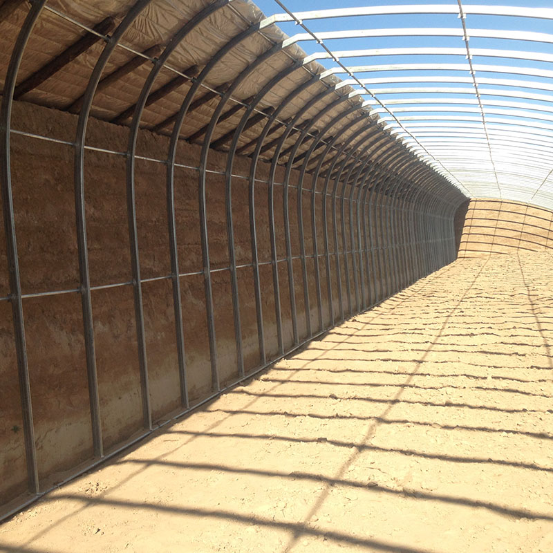 Hangmei Solar Agricultural Greenhouse Structure Plastic Film Greenhouse